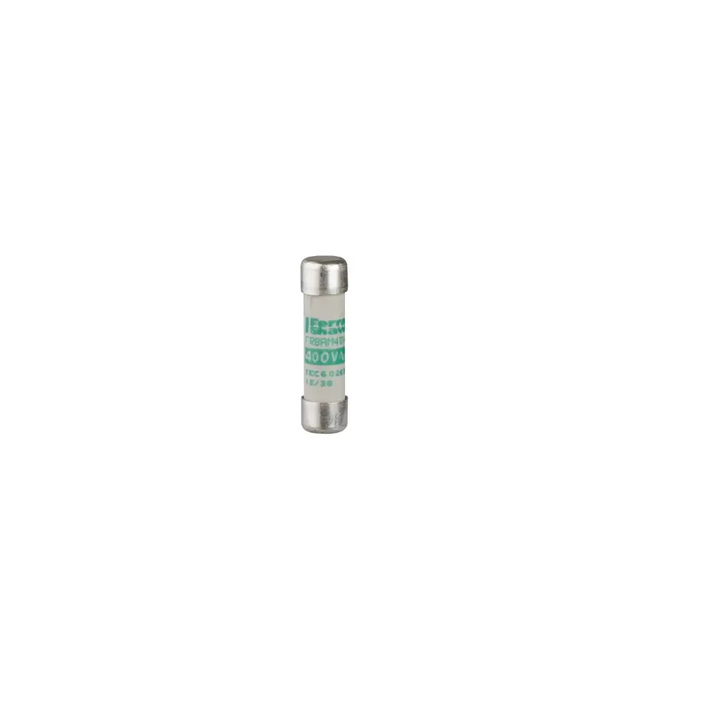 Fusible cilindrico 10x38mm 2A DF2CA02 Schneider electric