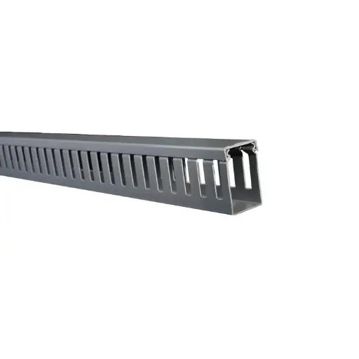 [DXN10072] Canaleta ranurada Dexon gris 40x60mm tira 2mt DXN10072 Schneider Electric